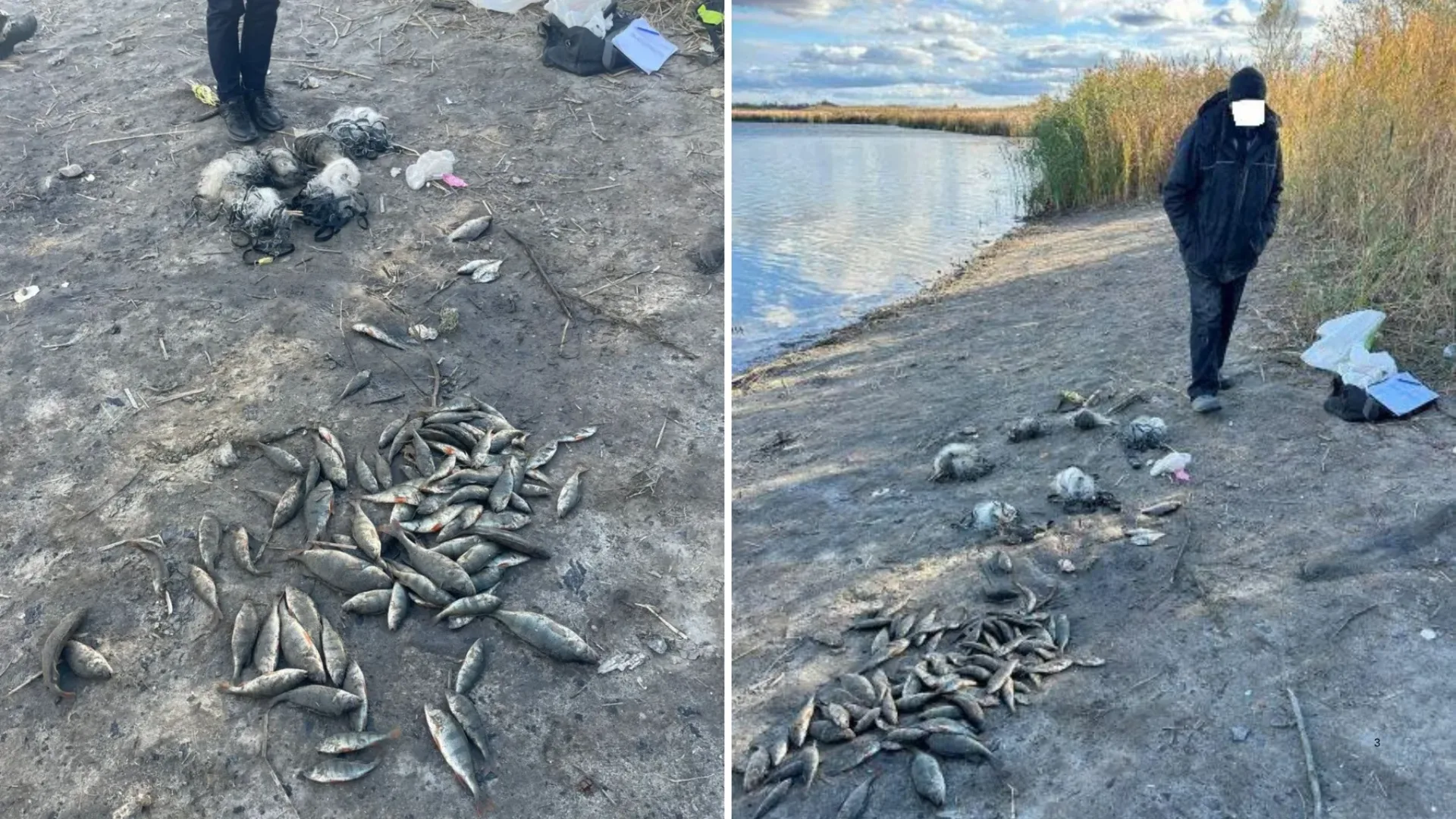 Поблизу Тернівки спіймали браконьєра: збитки понад 300 тисяч гривень