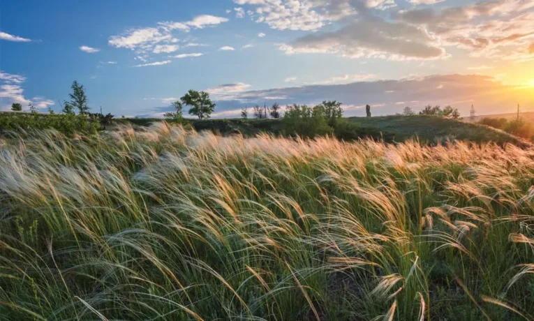 звільнення земель