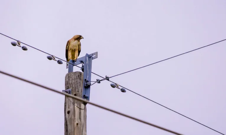 відновлення електропостачання