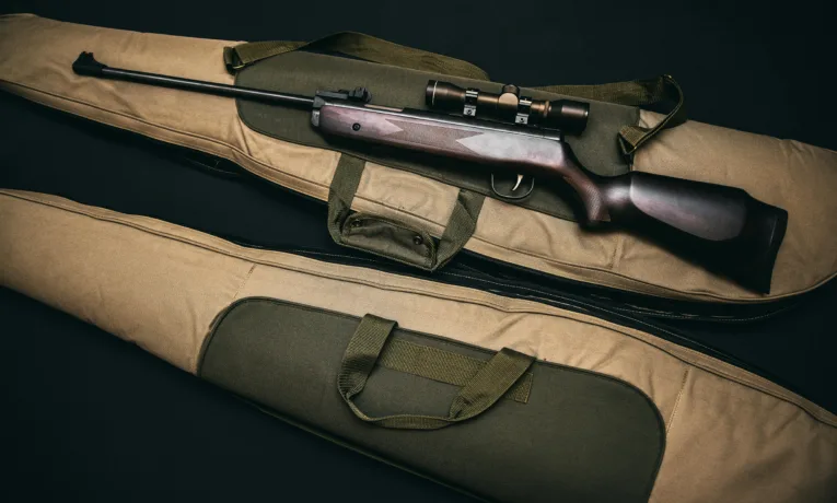 застрелив собаку