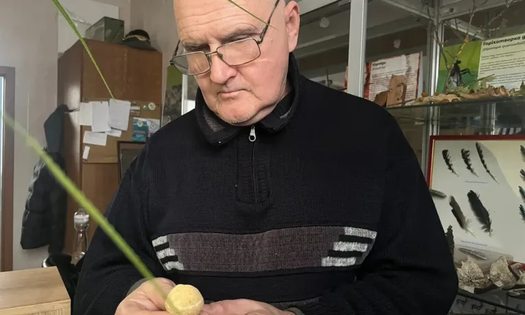 морські істоти