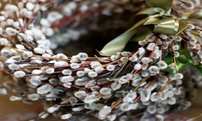 Вербна неділя 2026: дата, традиції та духовне значення