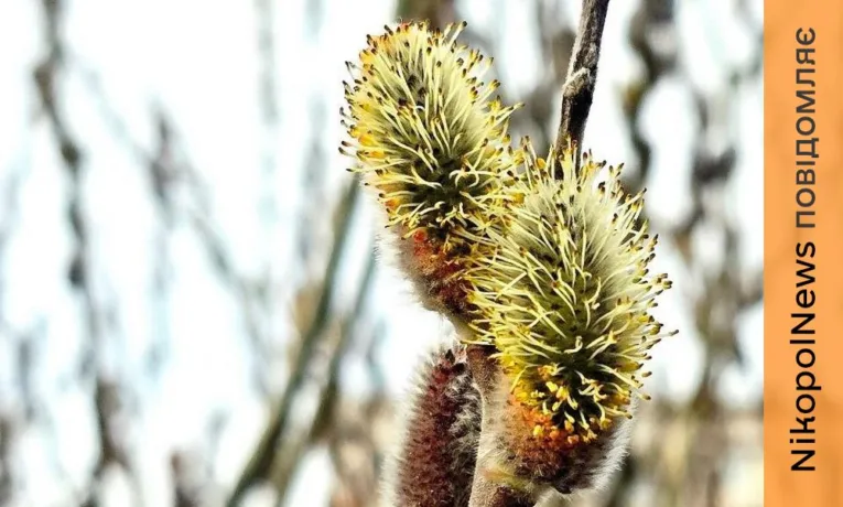 Погода у Нікополі 24 березня: похмуро та без опадів