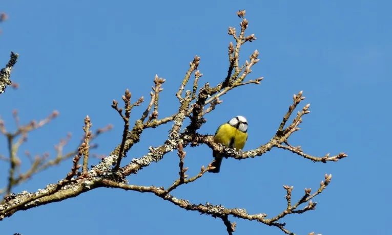 Прогноз погоди у Дніпрі на сьогодні, 27 березня 2026