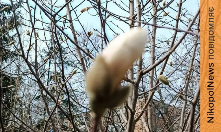 Погода у Нікополі 31 березня: хмарно і дощ