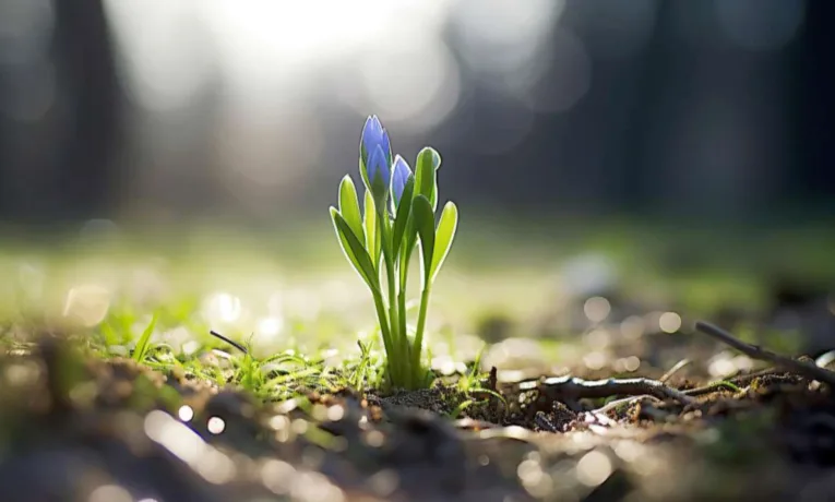 Прогноз погоди у Дніпрі на сьогодні, 6 березня 2026