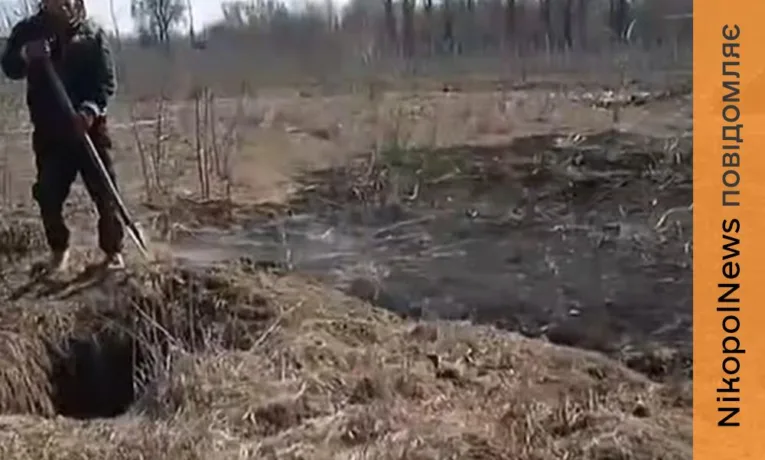 Вибух біля притулку для собак у Нікополі: волонтерка розповіла про небезпечну подію