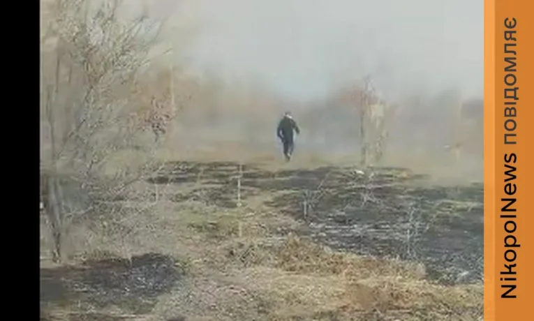 Обстріл біля притулку для тварин у Нікополі: виникла пожежа