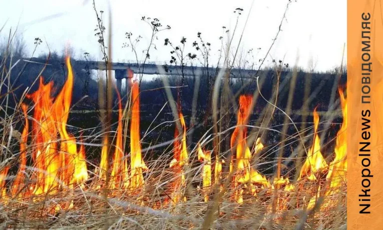 Мешканцям Нікополя нагадали про штрафи за спалювання сухої рослинності: до 21 420 грн
