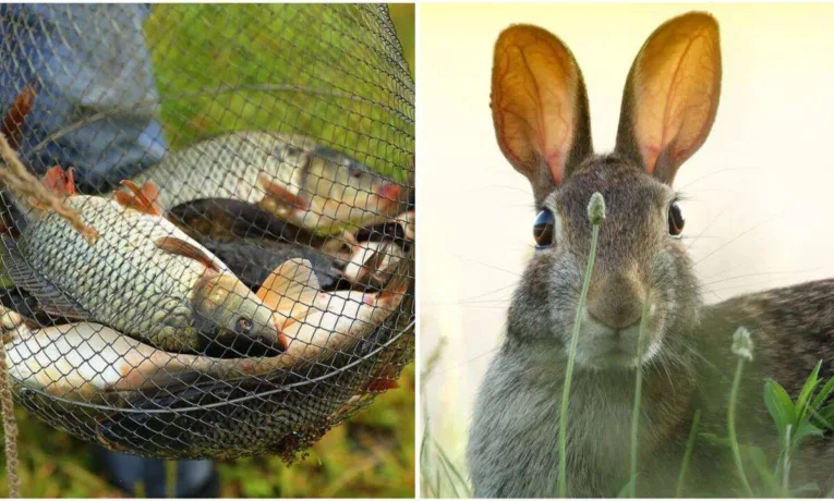 На Дніпропетровщині заборонено рибалити та гучно відпочивати в лісах