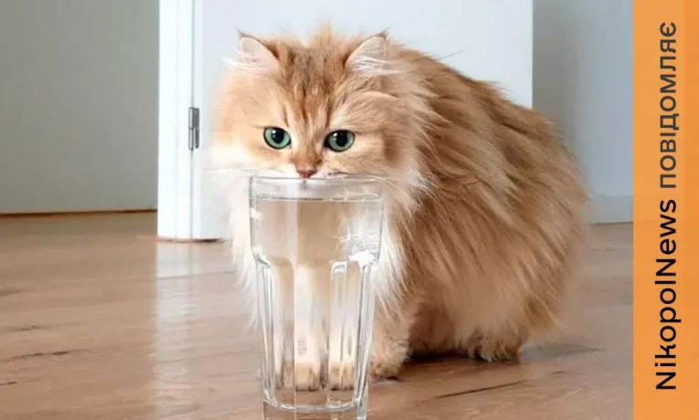 У Нікополі тимчасово припинили водопостачання в центральному районі