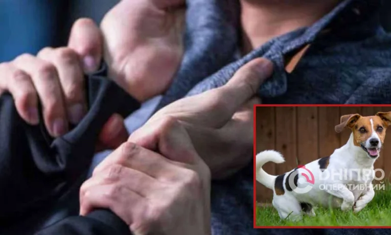 У Дніпрі суд вирішив справу про побої через собаку на клумбі