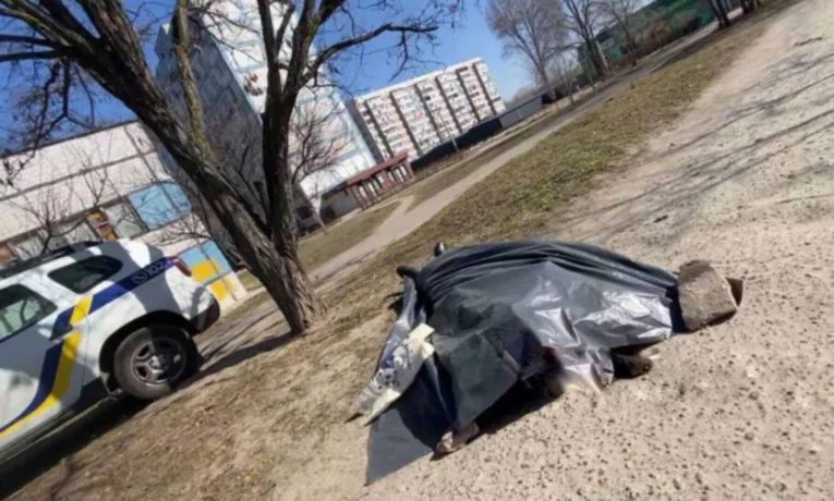 Труп виявили біля школи в Кам'янському: подробиці