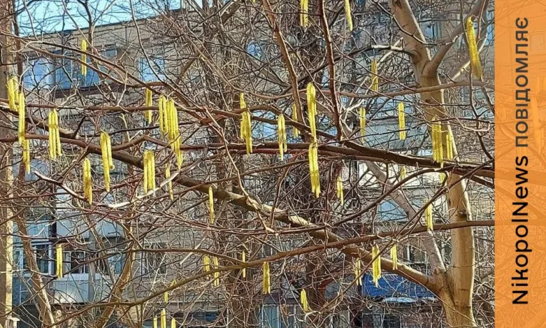 Сонячно, тепло і вітряно: прогноз погоди у Нікополі 14 березня