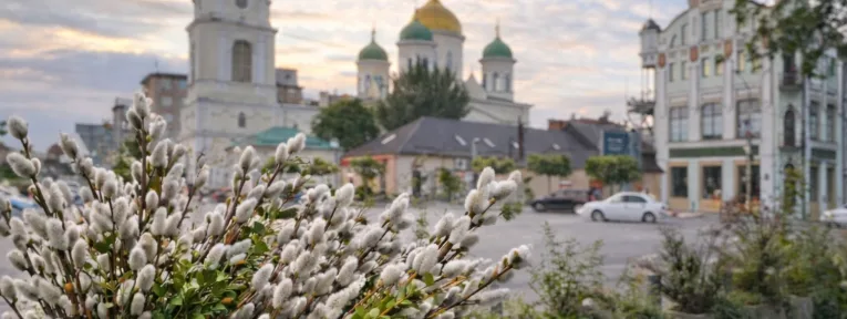 Котики вже з'явились: коли та як у Дніпрі відзначатимуть Вербну неділю