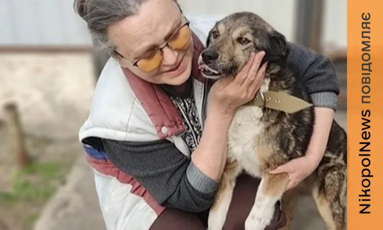 Неймовірно щемлива історія з Нікополя: пес Джек возз'єднався зі своєю Надією
