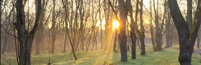 Дніпро оновив температурний рекорд: найтепліше 29 березня за 134 роки