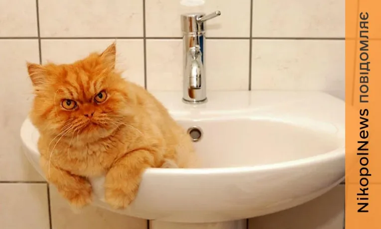 Аварія у Нікополі: перекрито водопостачання у одному з районів