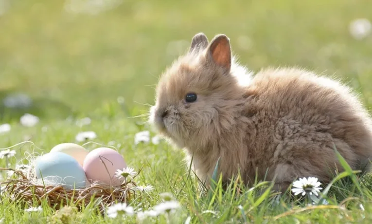 Прогноз погоди у Дніпрі на сьогодні, 12 квітня 2026