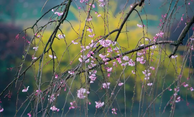 Прогноз погоди у Дніпрі на сьогодні, 19 квітня 2026