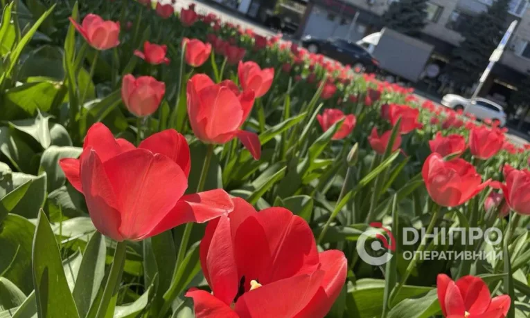 Прогноз погоди у Дніпрі на сьогодні, 20 квітня 2026