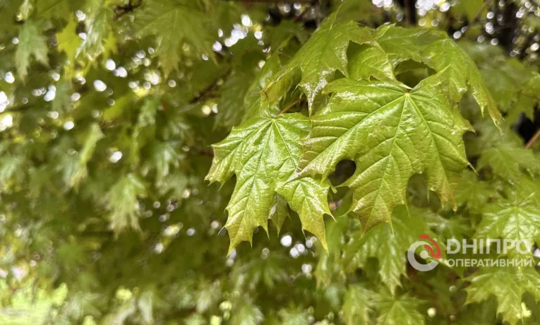 Прогноз погоди у Дніпрі на сьогодні, 23 квітня 2026