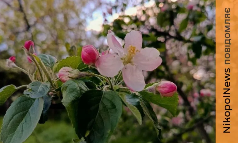 Погода у Нікополі 24 квітня: синоптики попередили про небезпечні метеорологічні явища