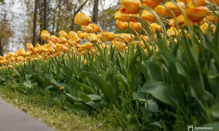 Прогноз погоди у Дніпрі на сьогодні, 28 квітня 2026