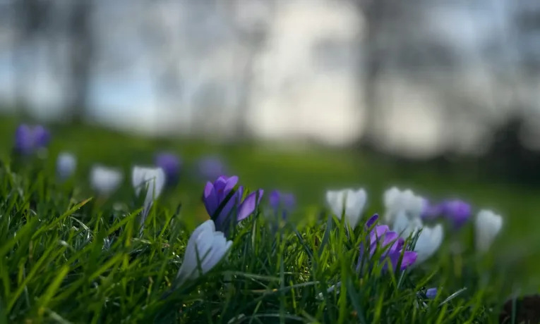 Прогноз погоди у Дніпрі на сьогодні, 4 квітня 2026