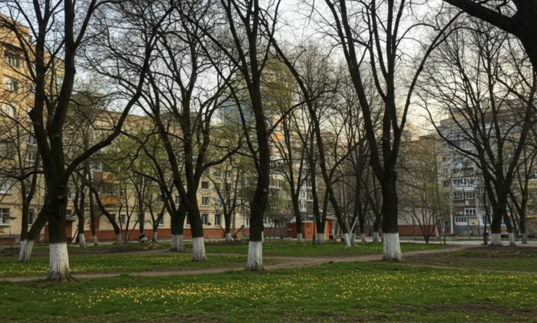 Прогноз погоди у Дніпрі на сьогодні, 6 квітня 2026