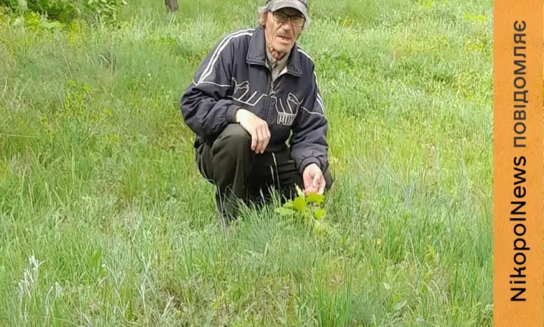 Мешканець Нікопольщини веде «зелену війну» та висадив 200 нових дерев
