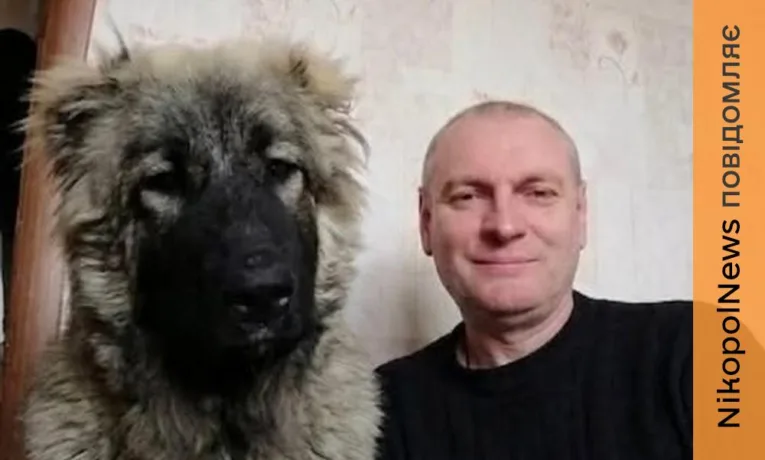 Господаря вбив ворожий дрон в центрі Нікополя: шукають нову родину для собаки