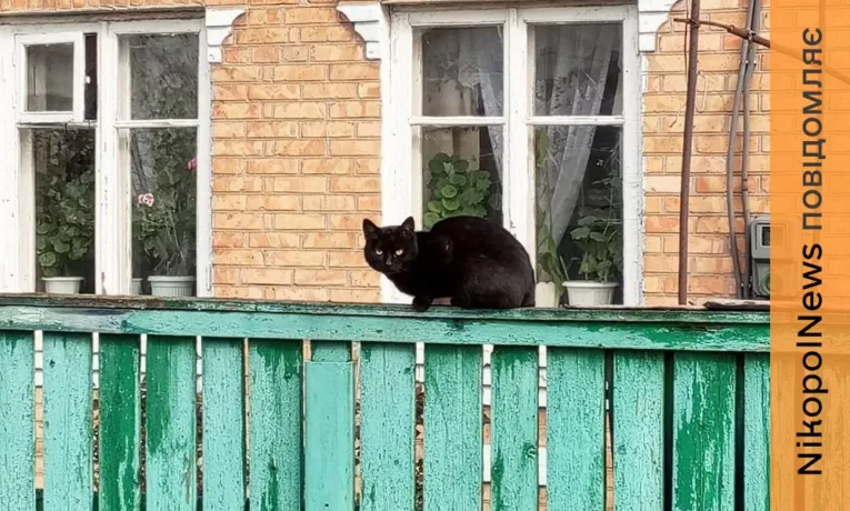 Заморозки на поверхні грунту та пориви вітру: погода у Нікополі 23 квітня