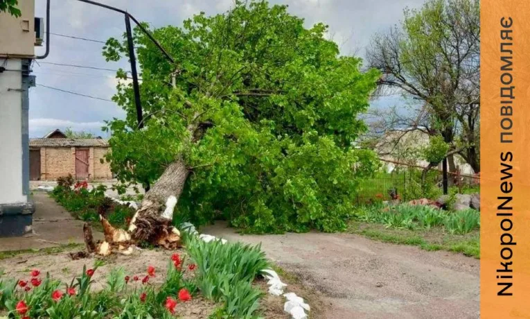 На Дніпропетровщині дерева пошкодили газопроводи через шквальні пориви вітру