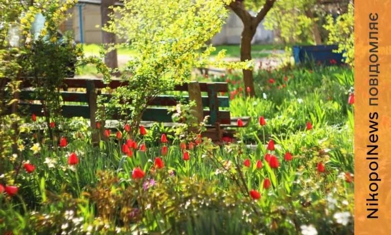 Нікополь та Дніпропетровська область: підсумки дня 12 квітня