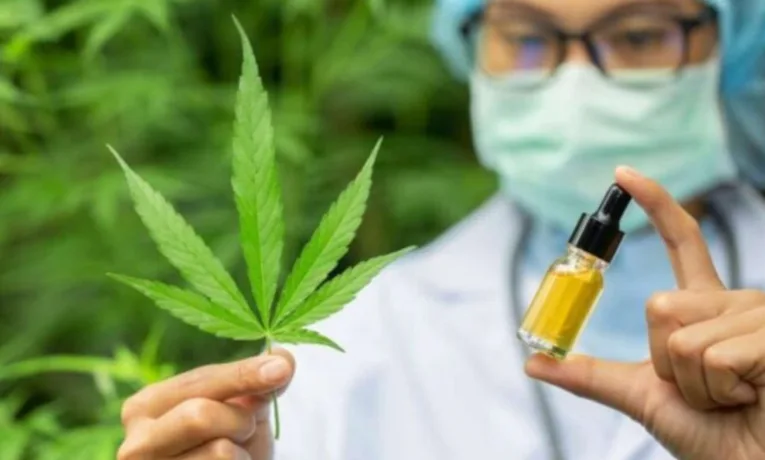Ринок медичного канабісу в Україні: зростання та розвиток