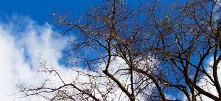 Великдень без вибухів: Дніпропетровщина отримала рідкісну паузу