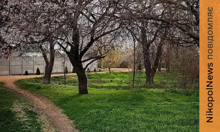 Хмарно, але без опадів, і вітряно: погода у Нікополі 16 квітня