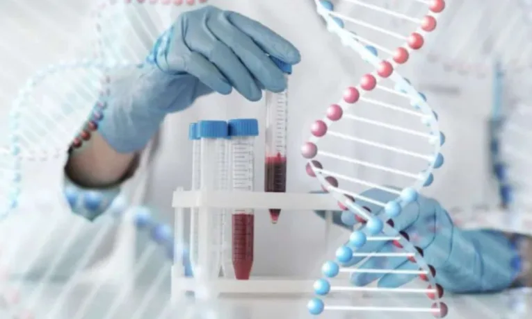 Генетичні тести для планування сім'ї під час війни: доступність послуги в лабораторіях