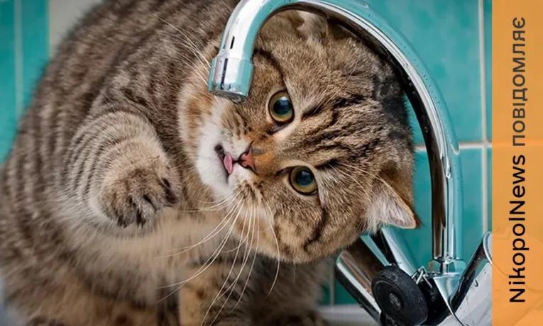 Аварія в Нікополі: відключення води в центральній частині міста