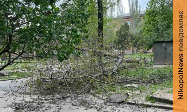 Негода на Нікопольщині: сильний вітер, повалені дерева та відсутність електроенергії