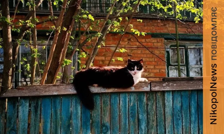 Попередження про заморозки в області: погода у Нікополі 8 квітня