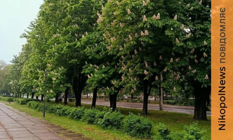 Погода у Нікополі 17 травня: очікується дощ і ясний день