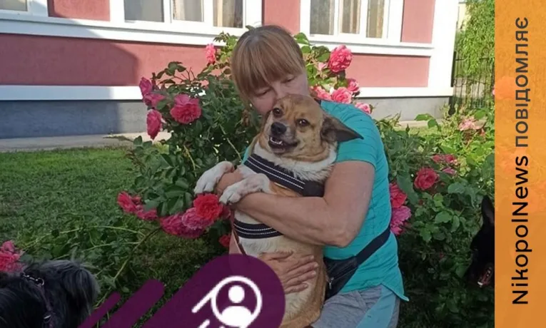 Волонтерка з Нікополя просить про допомогу для порятунку безпритульних собак