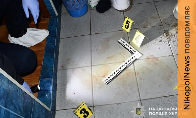Судитимуть чоловіка за подвійне вбивство на Нікопольщині