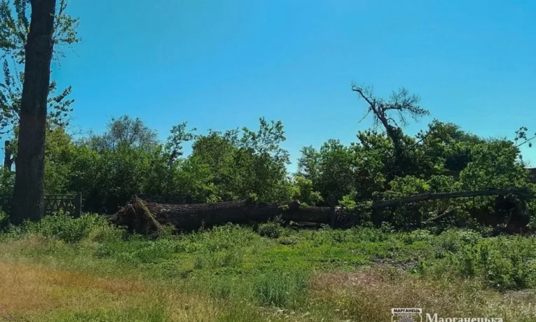Старі тополі не витримали шквального вітру: пошкодження в Марганці