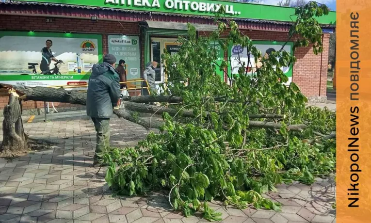 У Нікополі усувають наслідки атак і буревію, косять траву, ремонтують дороги
