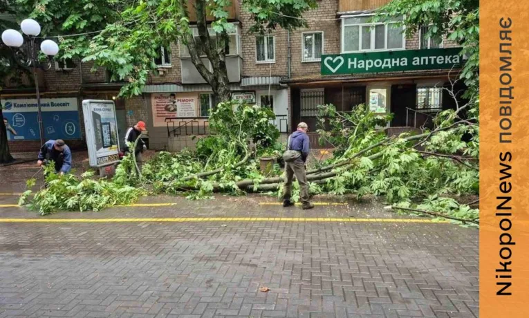 Буревій у Покрові: пошкоджено лінії електропостачання та дерева
