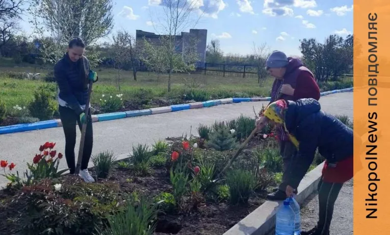 Краса з турботою: у Мирівській громаді висадили саджанці троянд