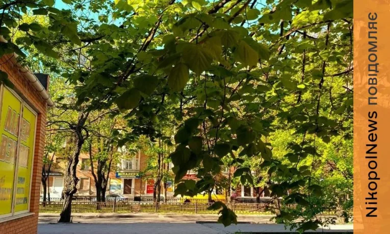 Мінлива хмарність і прохолодно: прогноз погоди у Нікополі 2 травня